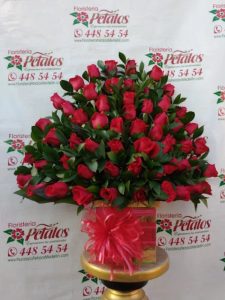 clasico de rosas
