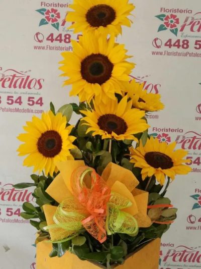 irresistible arreglo de girasoles