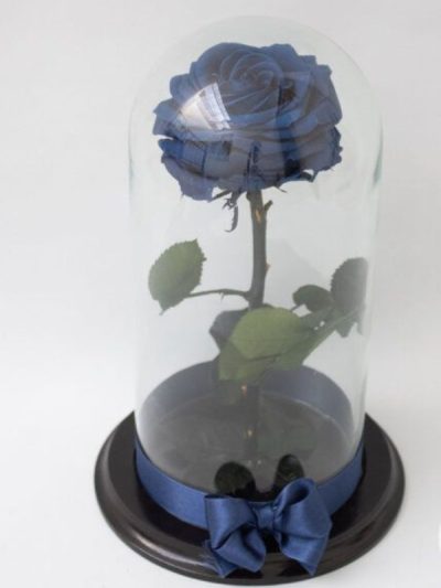 rosa azul eterna